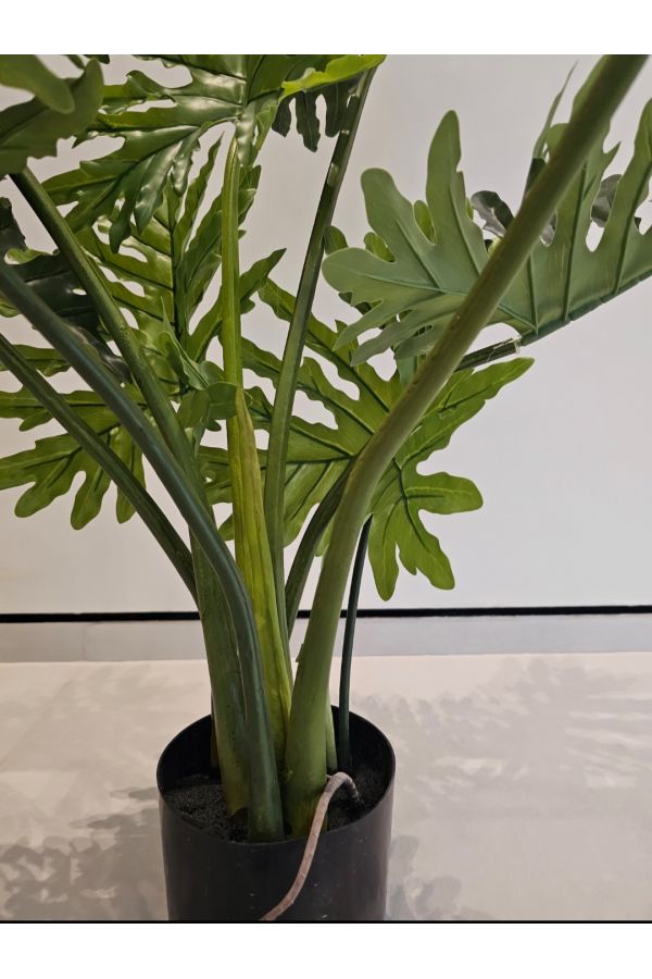 product side